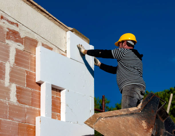 Best Fiberglass Insulation in South Alamo, TX