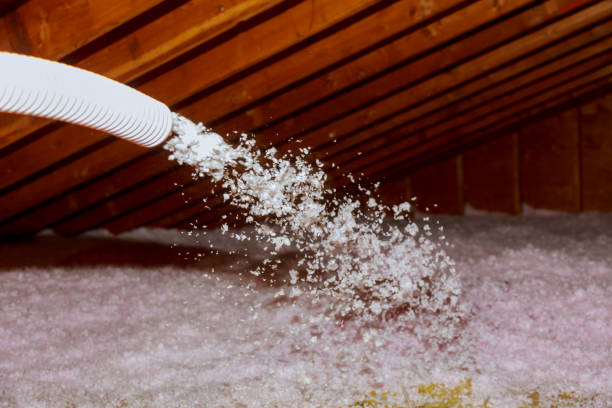 Best Eco-Friendly Insulation in South Alamo, TX