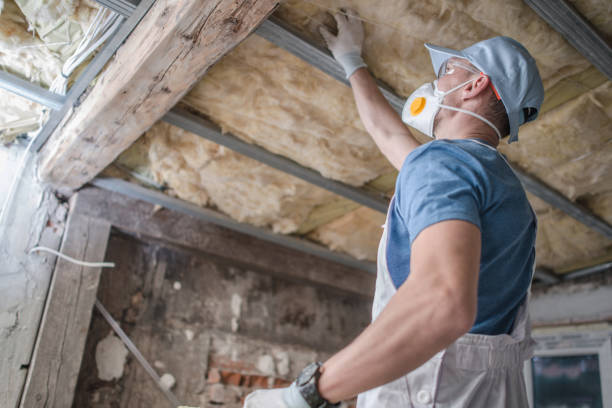 Best Residential Insulation in South Alamo, TX