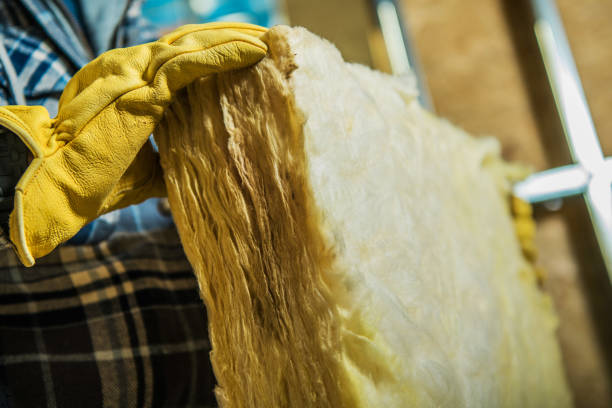 Best Insulation Maintenance and Repair in South Alamo, TX