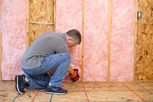 Best Insulation for Specific Applications in South Alamo, TX