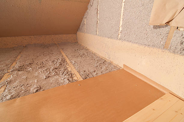Best Cellulose Insulation in South Alamo, TX