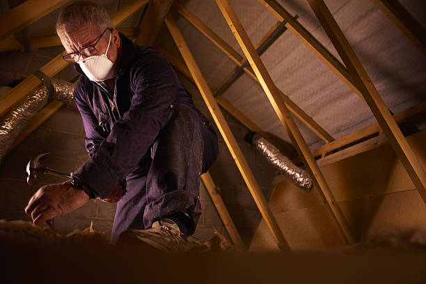 Best DIY Insulation Kits and Guidance in South Alamo, TX
