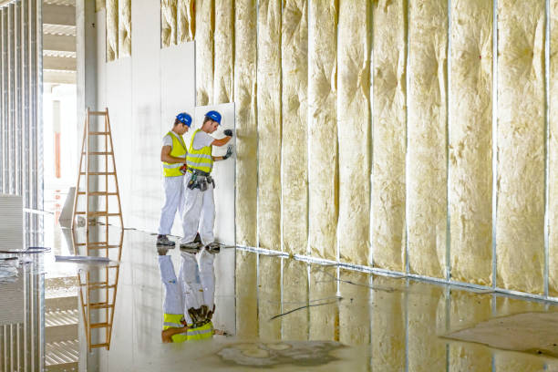 Types of Insulation We Offer in South Alamo, TX